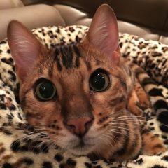 photo-aug-25-11-54-50-pm.k